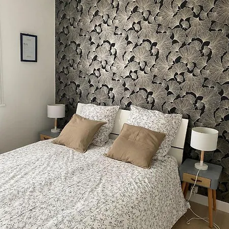 Appartement Cosy Pres De La Gare Avec Parking Saint-Pierre-des-Corps Buitenkant foto